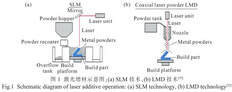 1705821510987531.jpg t1.jpg