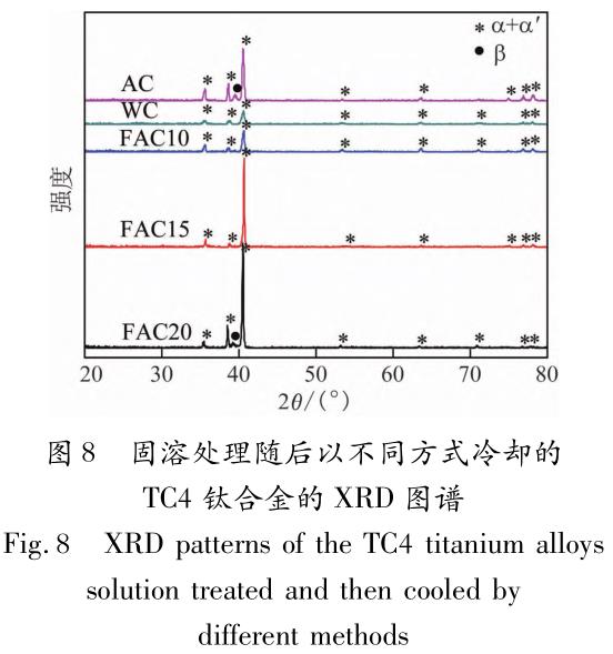 1705831286599873.jpg t8.jpg