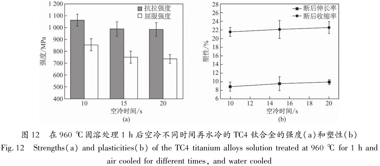 1705831332864847.jpg t12.jpg