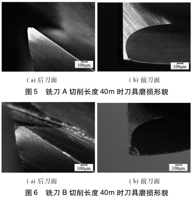 1705837136874279.jpg t5-6.jpg