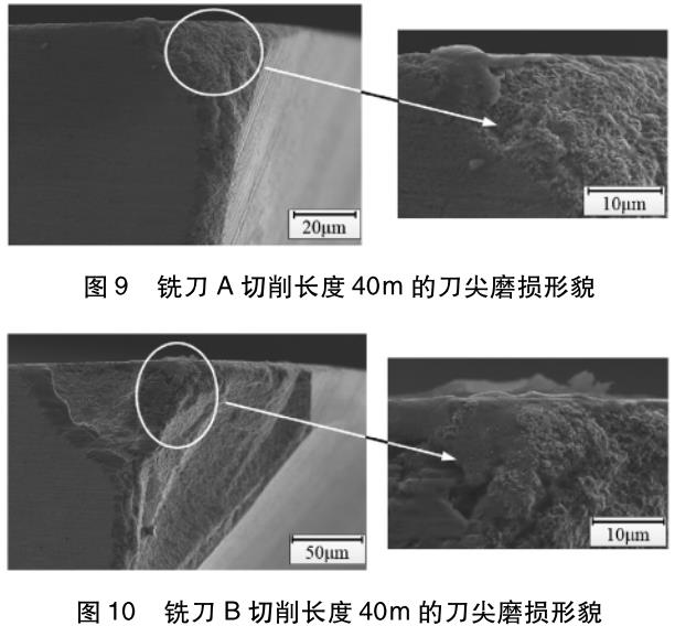 1705837158614101.jpg t9-10.jpg