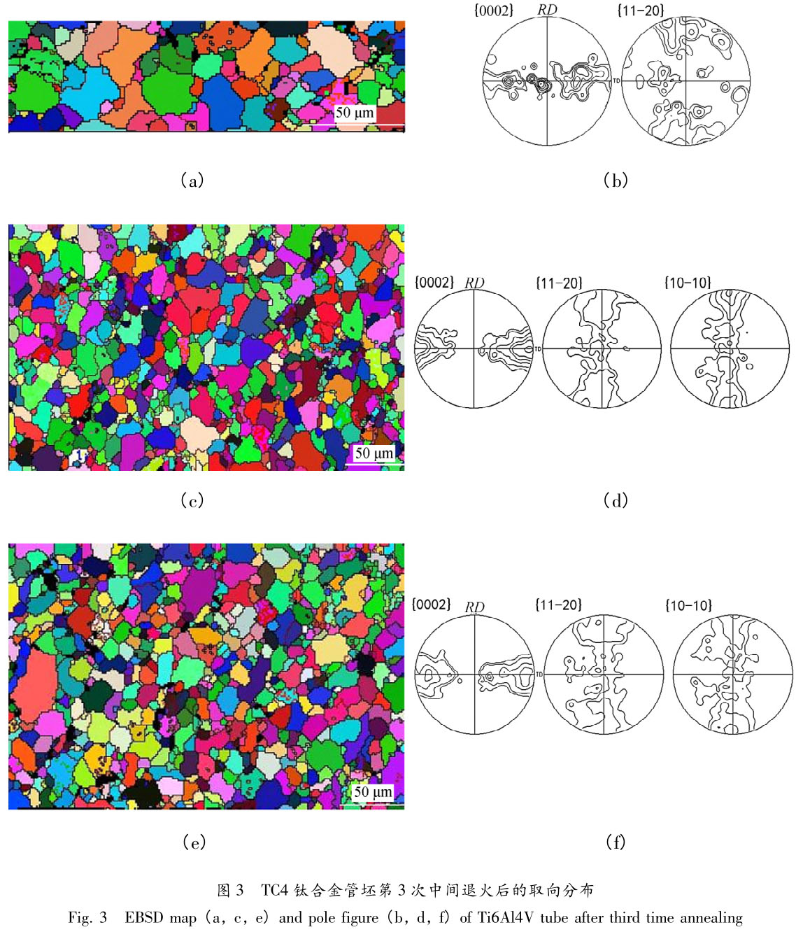 1705838312807526.jpg t3.jpg