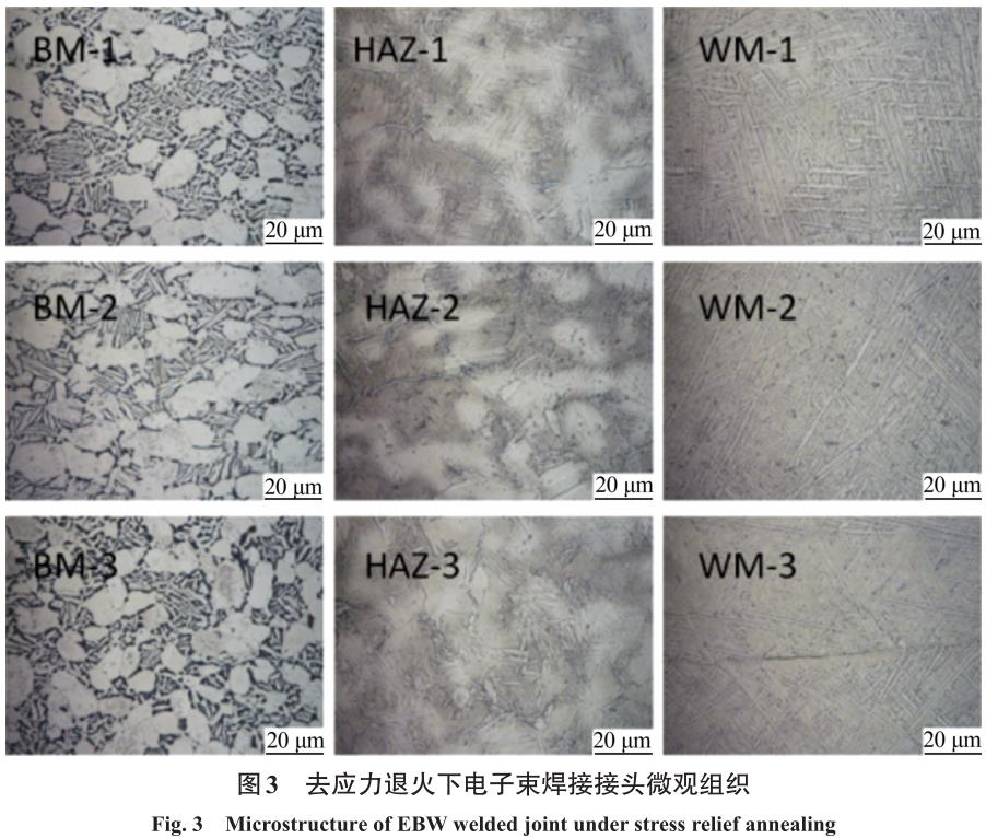 1708346417184694.jpg t3.jpg