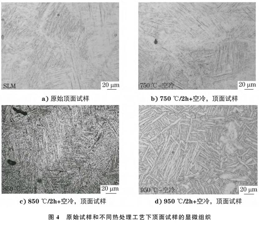 1708356135868796.jpg t4.jpg