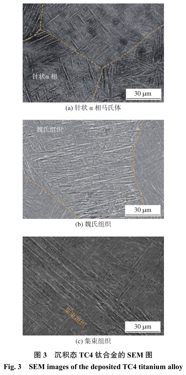 1708357260725489.jpg t3.jpg