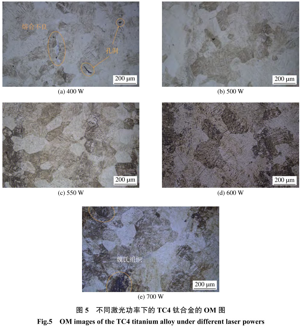 1708357276304129.jpg t5.jpg