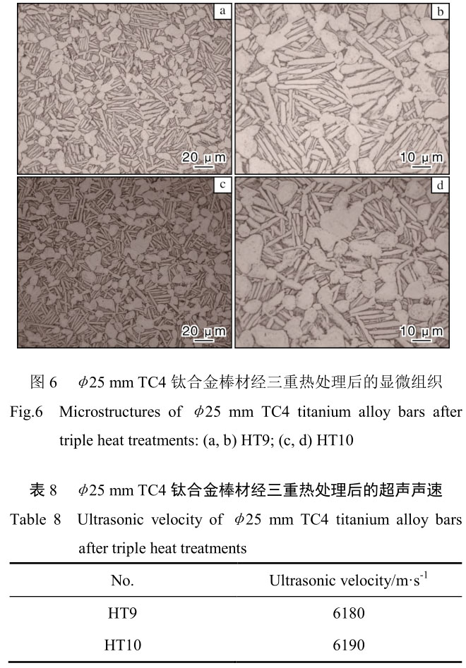 1708399152164141.jpg t6-b8.jpg