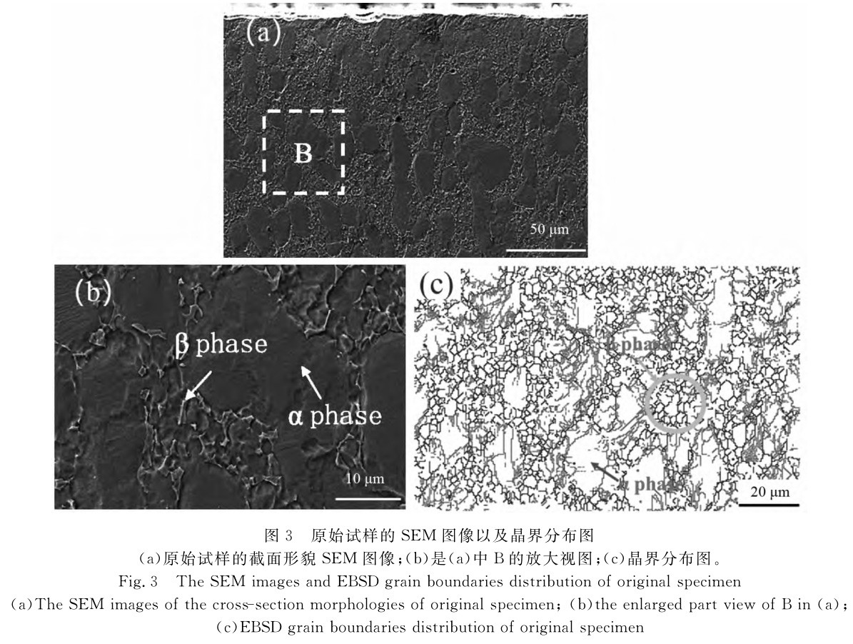 1708868508643537.jpg t3.jpg