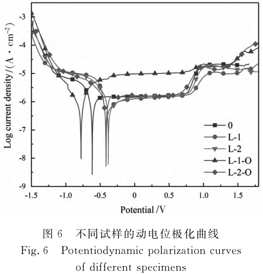 1708868540353368.jpg t6.jpg