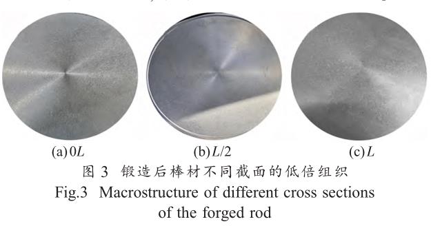 1708870557178802.jpg t3.jpg