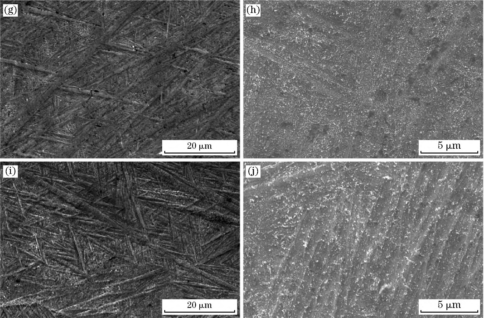 1710902176906161.jpg 2-1.jpg