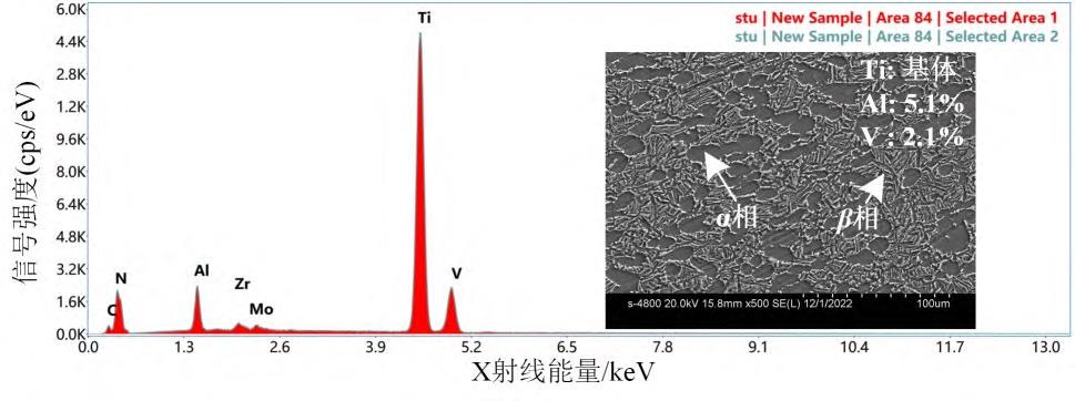 1710930844473333.jpg 1.jpg