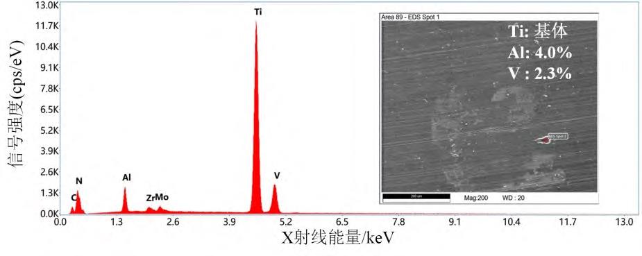 1710933255697012.jpg 4.jpg