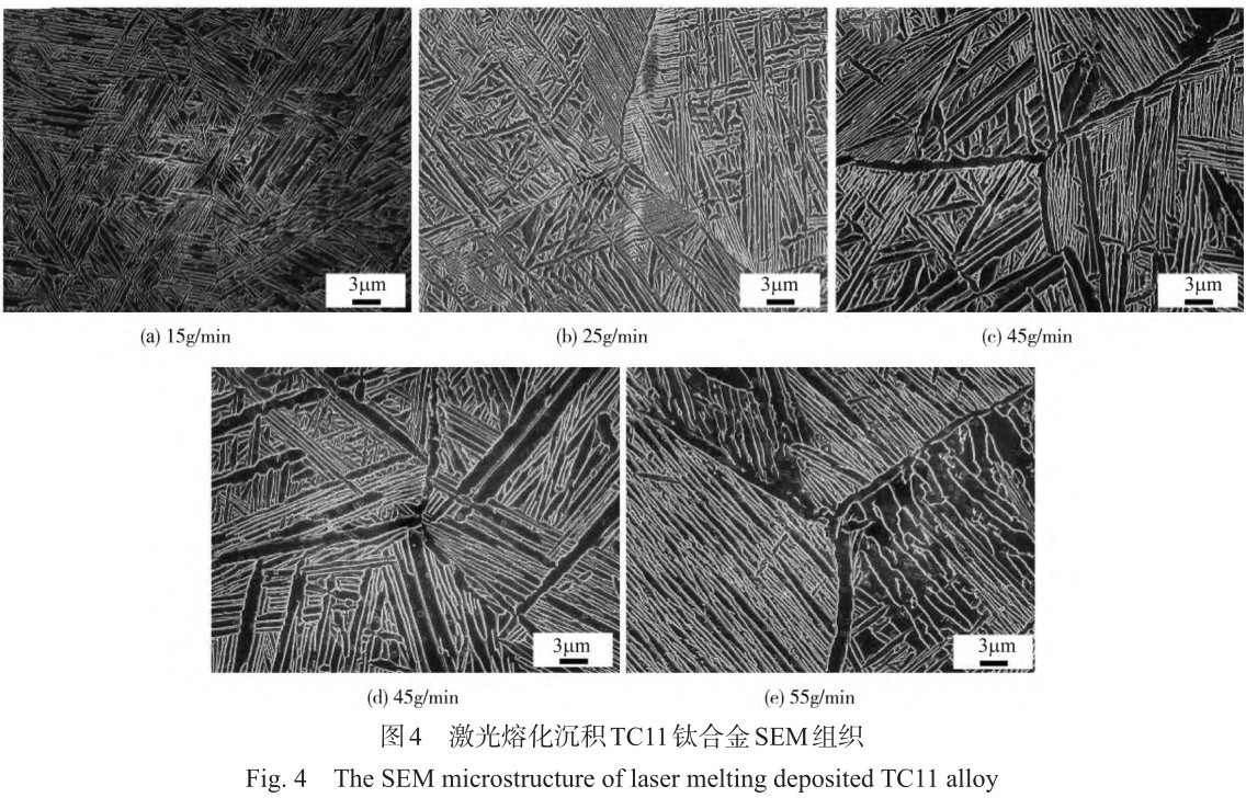 1712444018622949.jpg t4.jpg