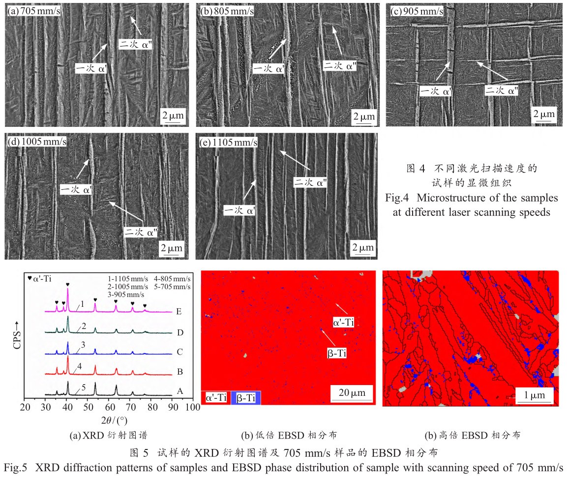 1712445541426683.jpg t4-5.jpg